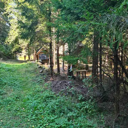 Vikendica Kod Brice Lazici